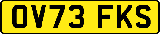 OV73FKS
