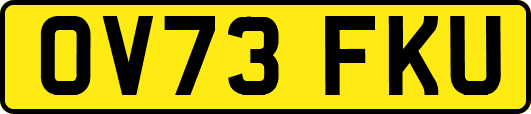 OV73FKU