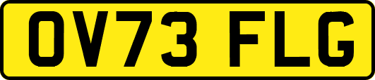OV73FLG