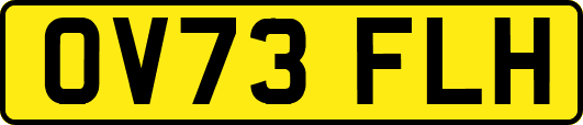 OV73FLH