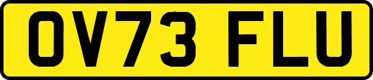 OV73FLU
