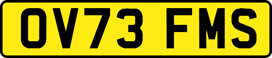 OV73FMS
