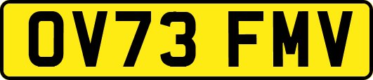OV73FMV