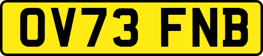 OV73FNB