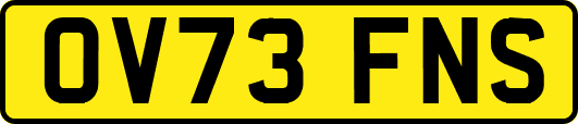 OV73FNS