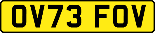 OV73FOV