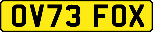 OV73FOX