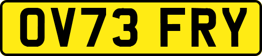 OV73FRY