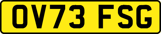 OV73FSG