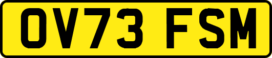 OV73FSM