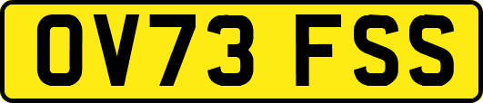 OV73FSS