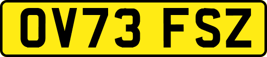 OV73FSZ
