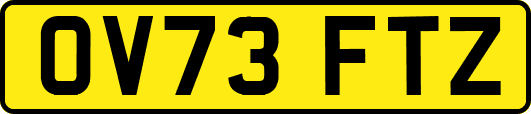OV73FTZ