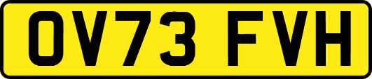 OV73FVH