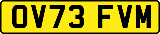 OV73FVM