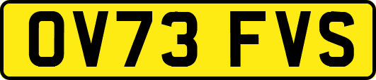OV73FVS