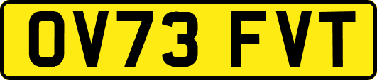 OV73FVT