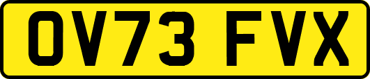 OV73FVX