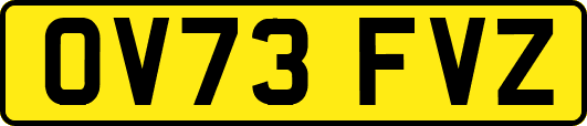 OV73FVZ