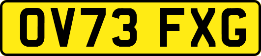 OV73FXG