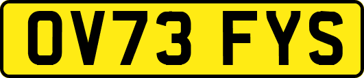 OV73FYS