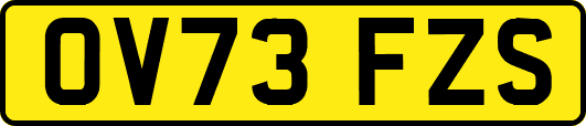 OV73FZS