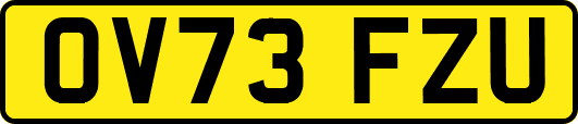 OV73FZU
