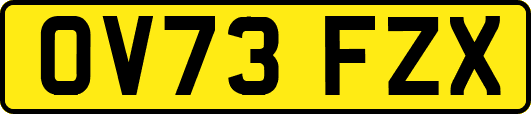 OV73FZX