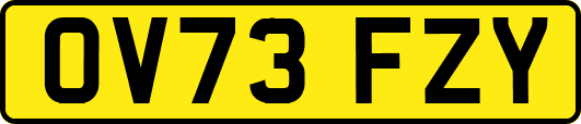 OV73FZY