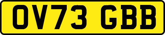 OV73GBB