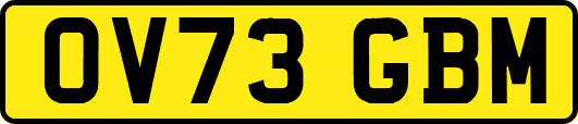 OV73GBM