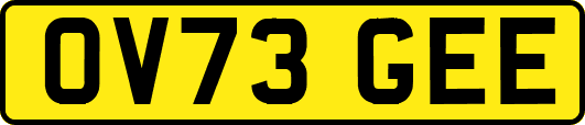 OV73GEE