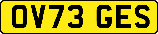 OV73GES