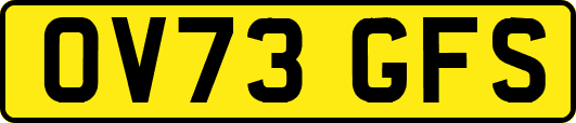 OV73GFS