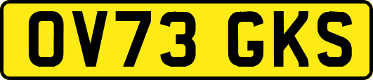 OV73GKS