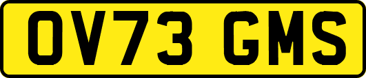 OV73GMS