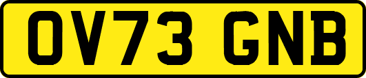 OV73GNB