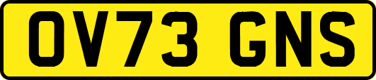 OV73GNS