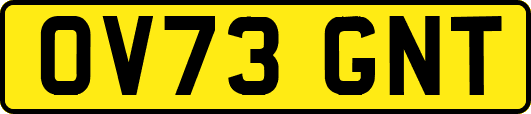 OV73GNT