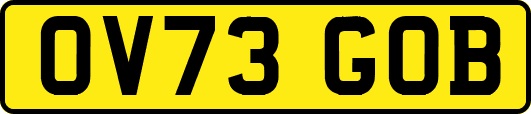 OV73GOB