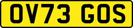 OV73GOS