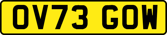 OV73GOW