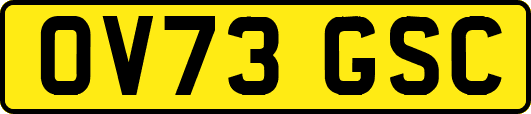 OV73GSC