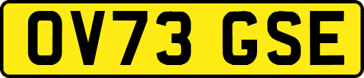 OV73GSE