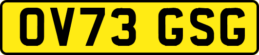OV73GSG