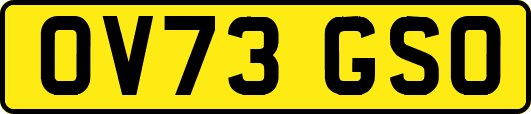 OV73GSO
