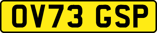 OV73GSP