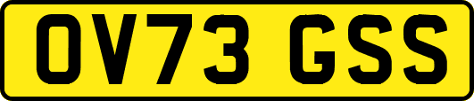 OV73GSS