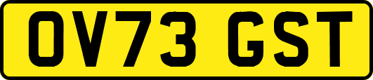OV73GST