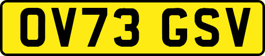 OV73GSV